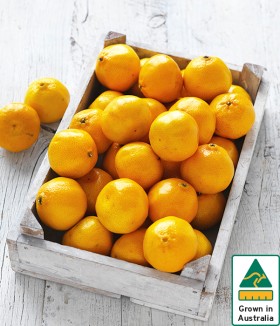 Australian-Imperial-Mandarins on sale