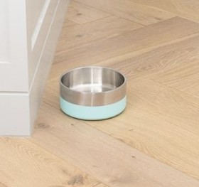 Baxter-Bone-Double-Walled-Pet-Bowl-in-Mint-Stainless-Steel-Large on sale