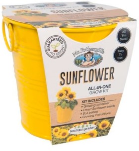 Mr+Fothergill%26rsquo%3Bs+%26lsquo%3BBoutique+Gardens%26rsquo%3B+Sunflower+Grow+Kit