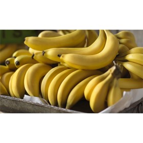 Australian-Cavendish-Bananas-Eat-Now-or-Eat-Later on sale