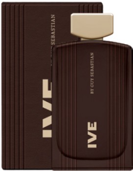 Guy-Sebastian-IVE-EDT-100mL on sale