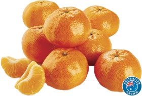 Australian-Afourer-Mandarins on sale