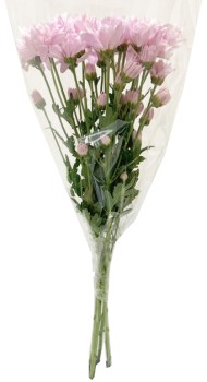 Chrysanthemum-Bunch on sale