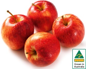 Australian-Royal-Gala-Apples-1kg-Pack on sale