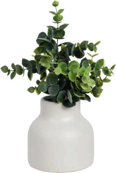 Otto-Mini-Plant-Leaf on sale