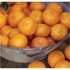 Australian-Imperial-Mandarins on sale