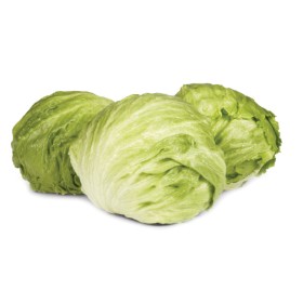 Australian+Iceberg+Lettuce