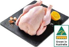 Australian+Free+Range+Whole+Fresh+Chicken