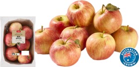 Coles+Australian+Mini+Apples+1kg+Pack