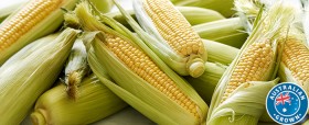 Australian-Loose-Sweet-Corn on sale