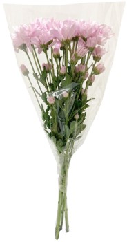 Chrysanthemum-Bunch on sale