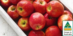 Australian+Pink+Lady+Apples