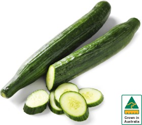 Australian+Continental+Cucumber