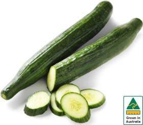 Australian+Continental+Cucumber