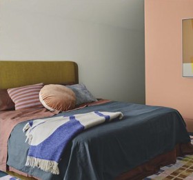 Taubmans-Team-Spirit-Paint on sale