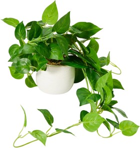 Artificial+Draping+Pothos+in+Pot