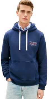 Tommy-Hilfiger-Heritage-Text-Hoodie-Base-Hoodie on sale