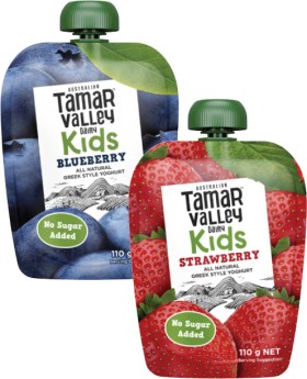 Tamar-Valley-Dairy-Kids-Greek-Style-Yoghurt-Pouch-110g on sale