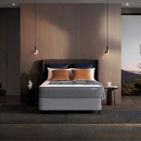 Sealy+Kota+Firm+Mattress