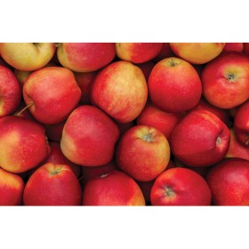 Australian+Envy%26trade%3B+Apples