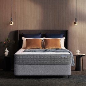 Sealy+Kota+Firm+Mattress