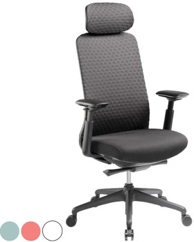 Pago-Eris-Ergonomic-Chair-Black on sale