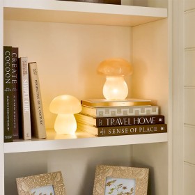 LED-Mushroom-Lights on sale