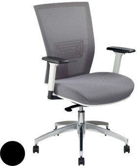 Pago-Radar-III-Ergonomic-Chair-Ash-Grey on sale
