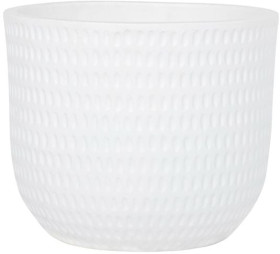 Kentia-Palm-in-Dotty-310mm-x-260mm-Large-Round-Ceramic-Pot-in-White on sale