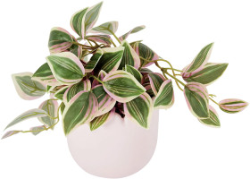 Artificial-Succulent-in-Wavy-Pot on sale
