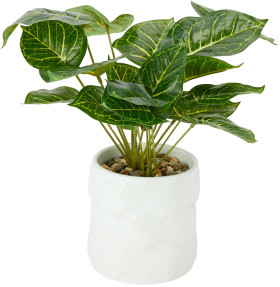 Artificial-Syngonium-Plant-in-Shell-Pot on sale
