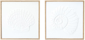 2-Pack-Shell-Framed-Canvas-40cm-x-40cm on sale