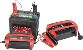 Projecta-12V-Pro-Charge-Micro-Processor-Battery-Chargers on sale
