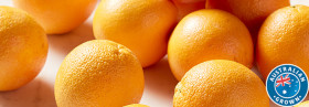 Australian-Navel-Oranges on sale
