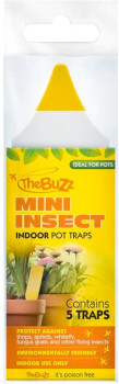 The-Buzz-Mini-Insect-Indoor-Pot-Traps-Pack-of-5 on sale