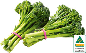 Australian+Baby+Broccoli+Bunch