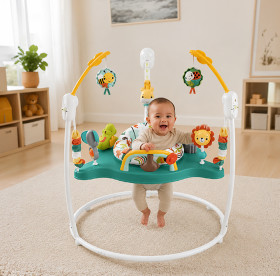 Fisher-Price-Baby-Jumperoo-Whimsical-Forest on sale