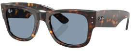 Ray-Ban-Wayfarer-Summer-Capsule-Propionate-Sunglasses-Tortoise on sale