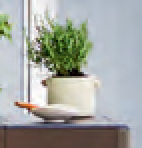 Astin-Sinclair-180-x-140mm-Cream-Ear-Pot on sale