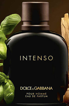 Dolce+%26amp%3B+Gabbana+Intenso+Pour+Homme+EDP+125mL%26Dagger%3B
