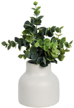 Otto-Mini-Plant-Leaf on sale