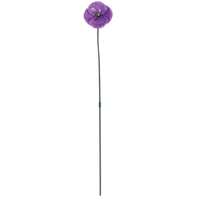 Green+Gardener+Metal+Poppy+or+Gardman+Ceramic+Watering+Spiker