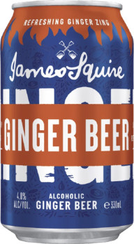 James-Squire-Ginger-Beer-10-Pack-Cans-330mL on sale