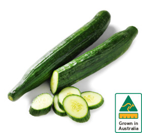 Australian-Continental-Cucumber on sale