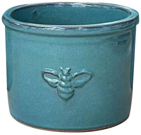 Marguerite-Daisy-in-Northcote-Pottery-Bee-26cm-Planter-in-Forest-Green on sale