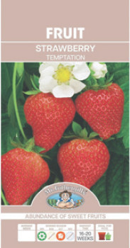 Mr-Fothergills-Seed-Packs-Temptation-Strawberry on sale