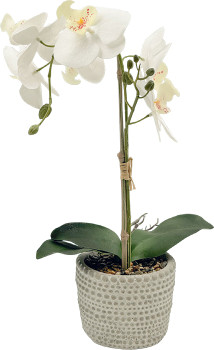 Un-Real-38cm-Artificial-Orchid-Flowers-in-Decor-Pot-in-White on sale