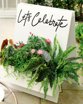 DIY-Lets-Celebrate-Sign on sale
