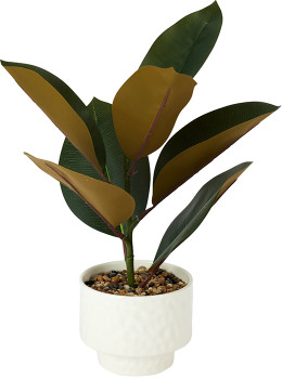 Artificial-Rubber-Plant-in-Textured-Pot on sale