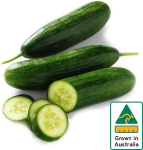 Australian-Lebanese-Cucumber on sale
